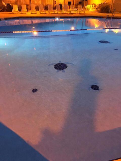 TOP OF THE GULF CONDO - Residential