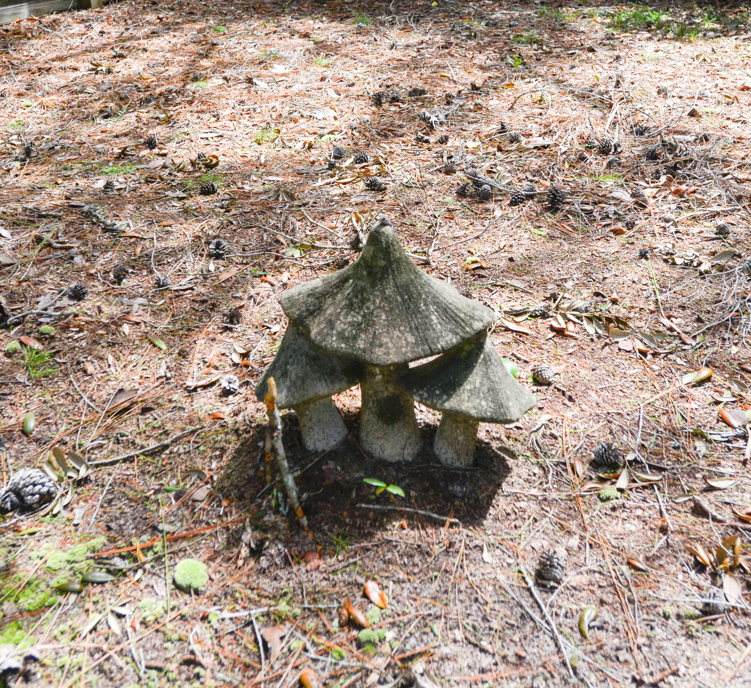 WOODLANDS PH IV LOT 7 BLK A - Residential