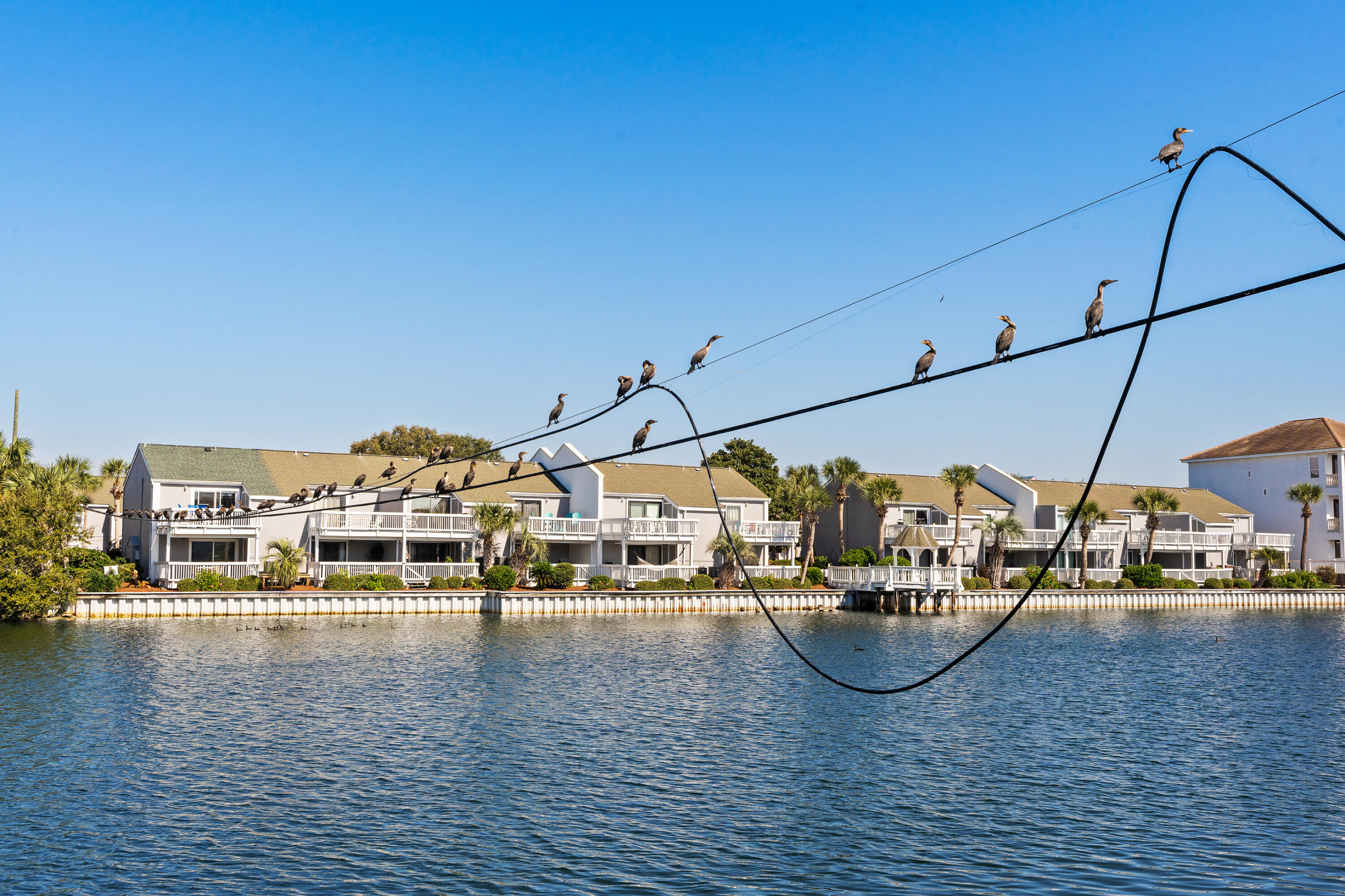 SHORELINE TOWERS 1 - Residential