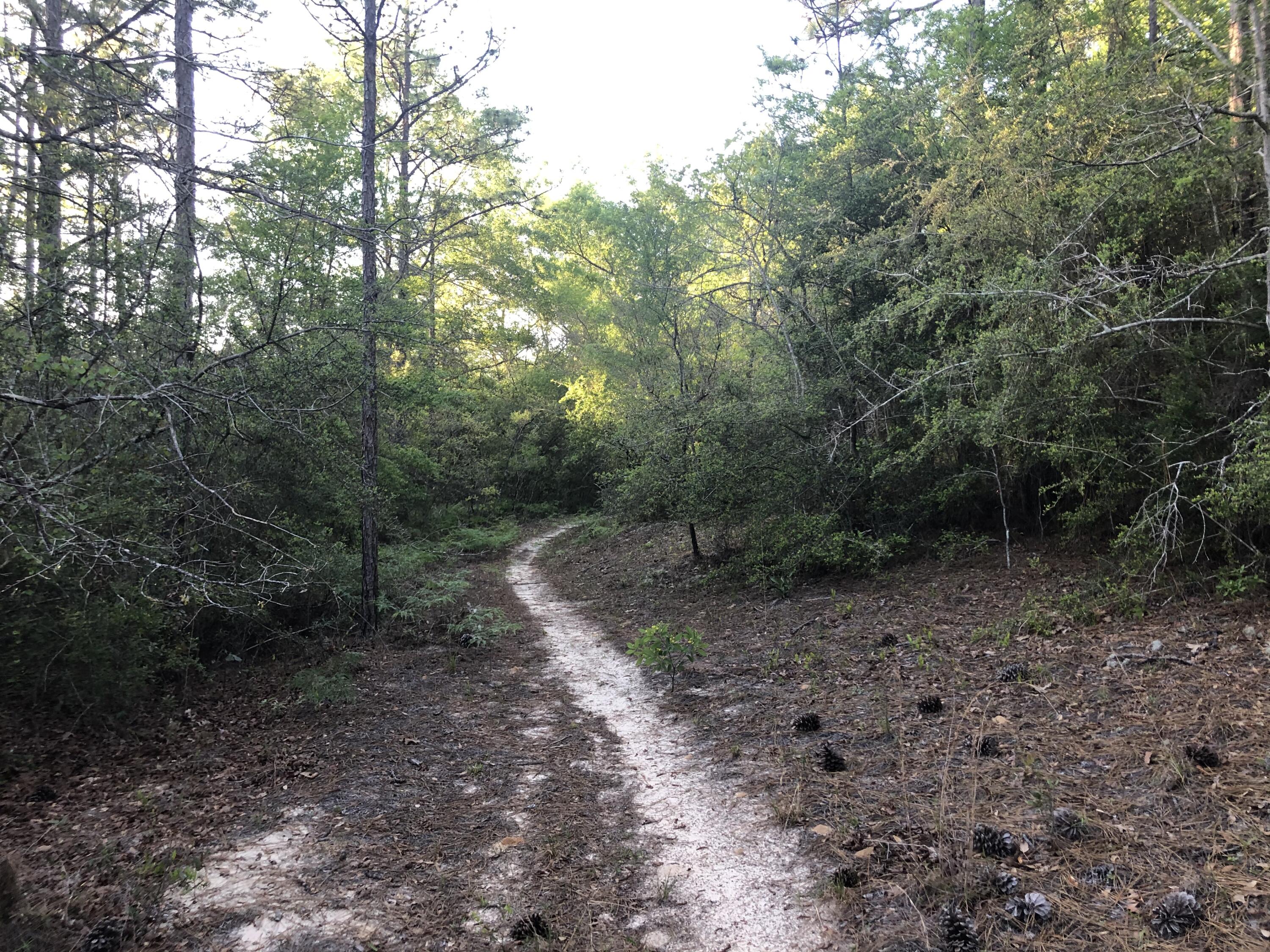 BELLE HIGHLAND ESTATES - Land