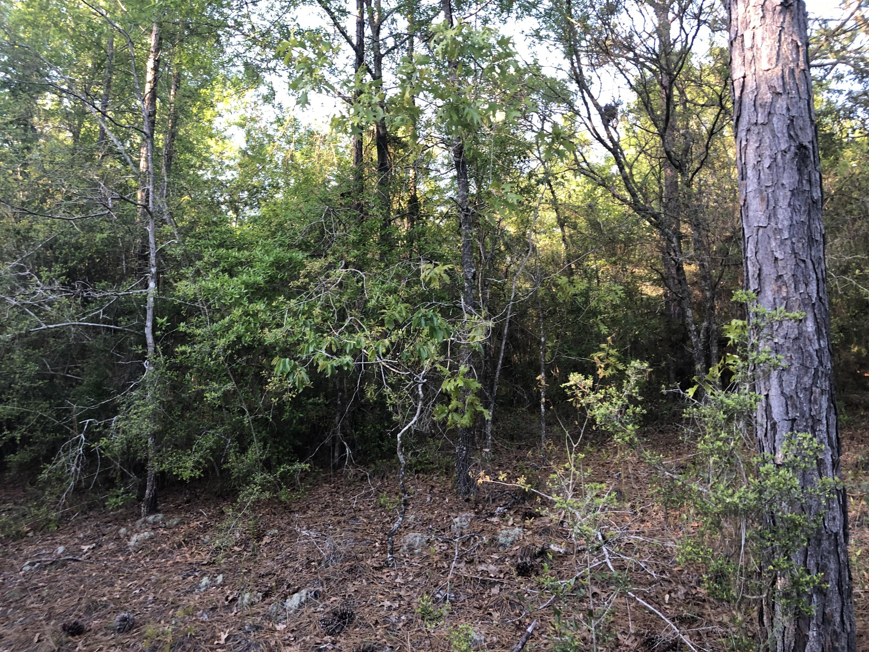 BELLE HIGHLAND ESTATES - Land