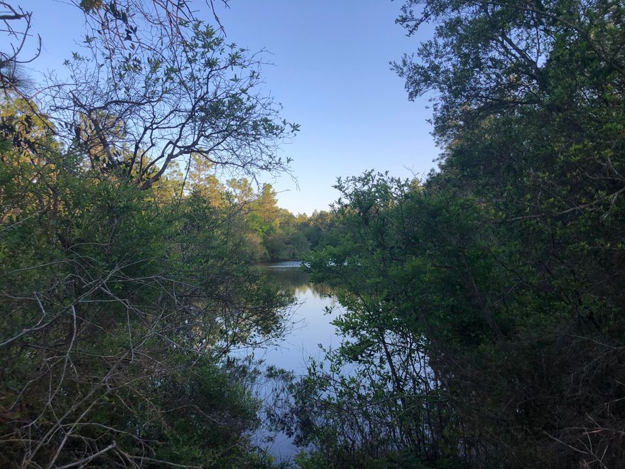 Wonderful and private, look no further than this parcel offering you quiet country lake-front living not far off the beaten path!  Approximately 10.3 waterfront acres and plenty of trees for privacy. Clear what you would like and leave the rest natural for easy care and maintenance of this beautiful acreage. No current active home owners association in Belle Highlands Estates.  Don't miss out on this opportunity to spread out in a truly private and beautiful setting!