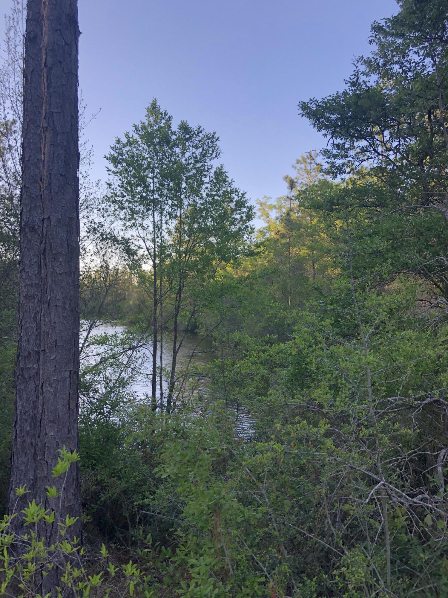 BELLE HIGHLAND ESTATES - Land