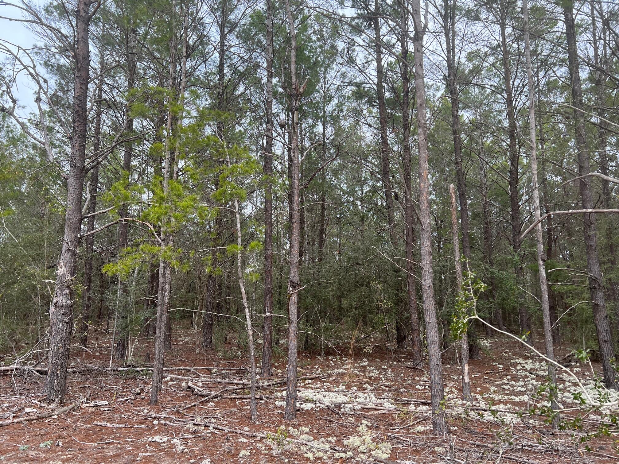 OAKWOOD HILLS UNIT 1 - Land