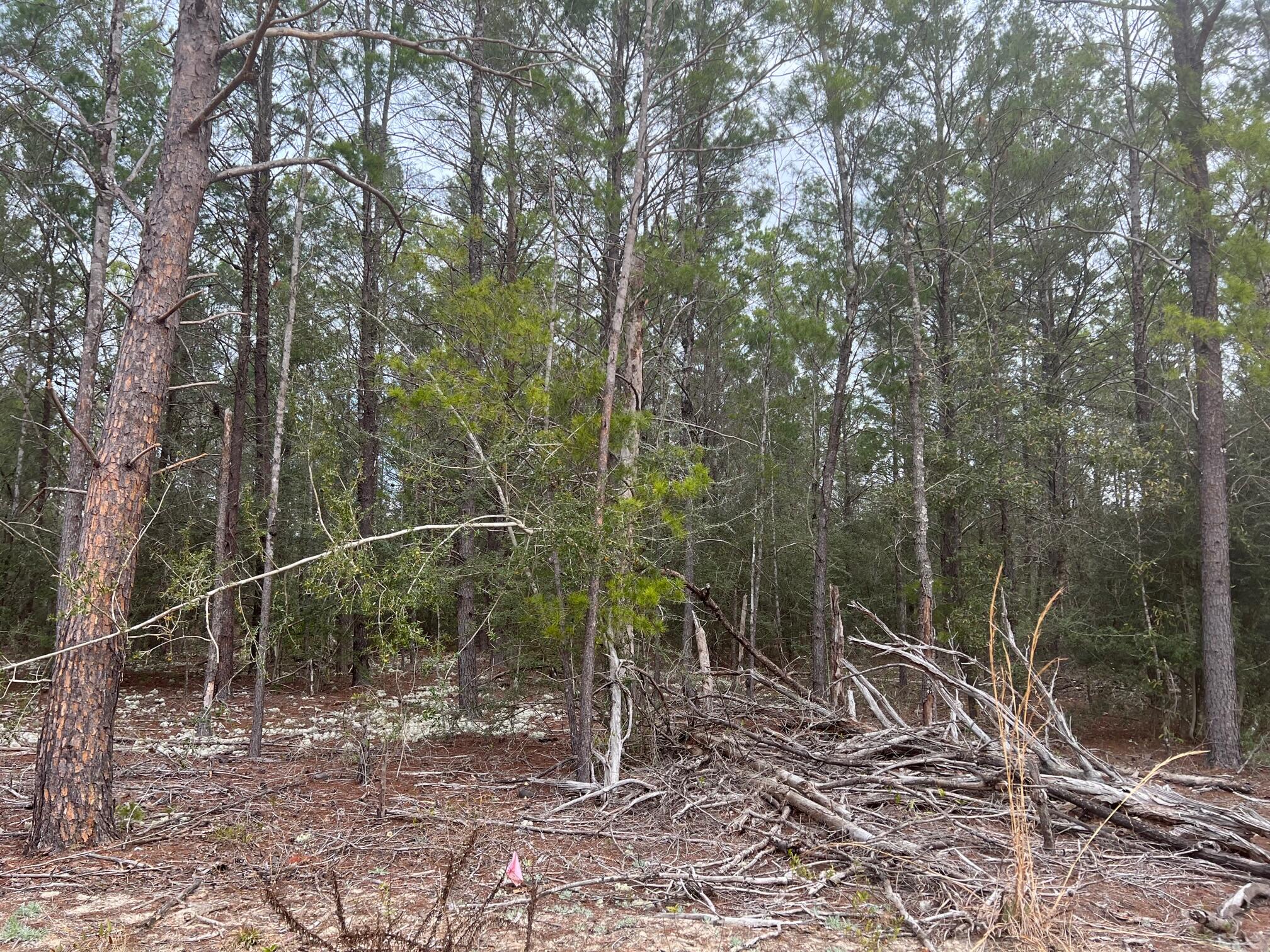 OAKWOOD HILLS UNIT 1 - Land