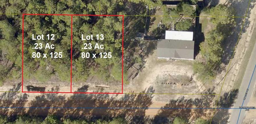 2 adjoining lots located in growing Mossy Head area.  Each lot is 80 x 125 and .23 ac each.  Lightly wooded lots located minutes to downtown Defuniak Springs and also I-10 in Mossy Head.  No utilities currently on lots but power on street. Public water is available in this area; Septic tank would be required.