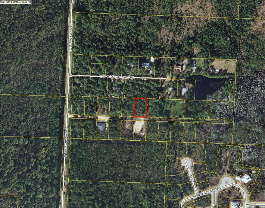 This is a beautiful wooded lot. Less than one mile to the Ed Walline Public Beach Access and beautiful 30a! Great investment opportunity to have a lot in this area without restrictions!