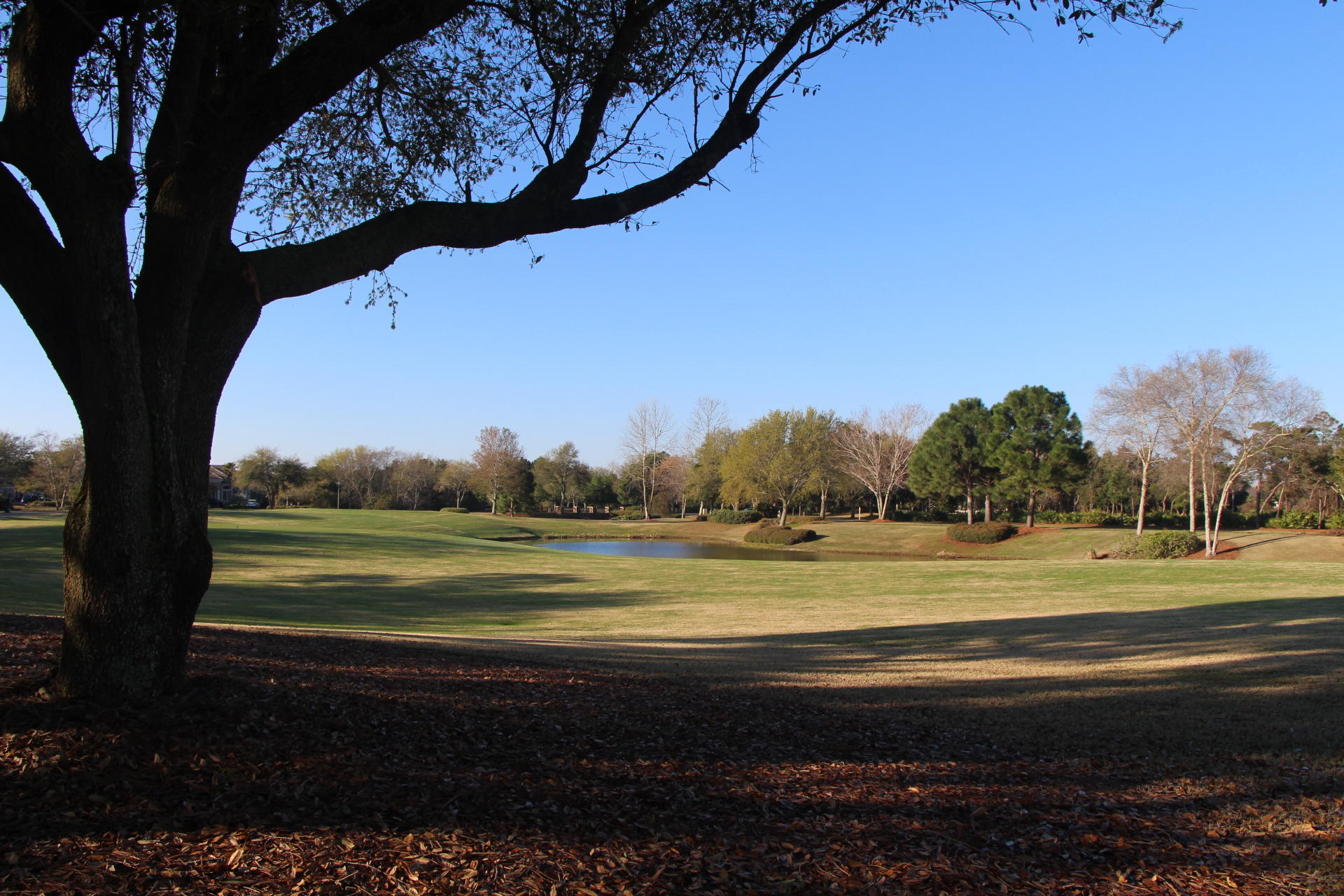 KELLY PLANTATION S/D - Land