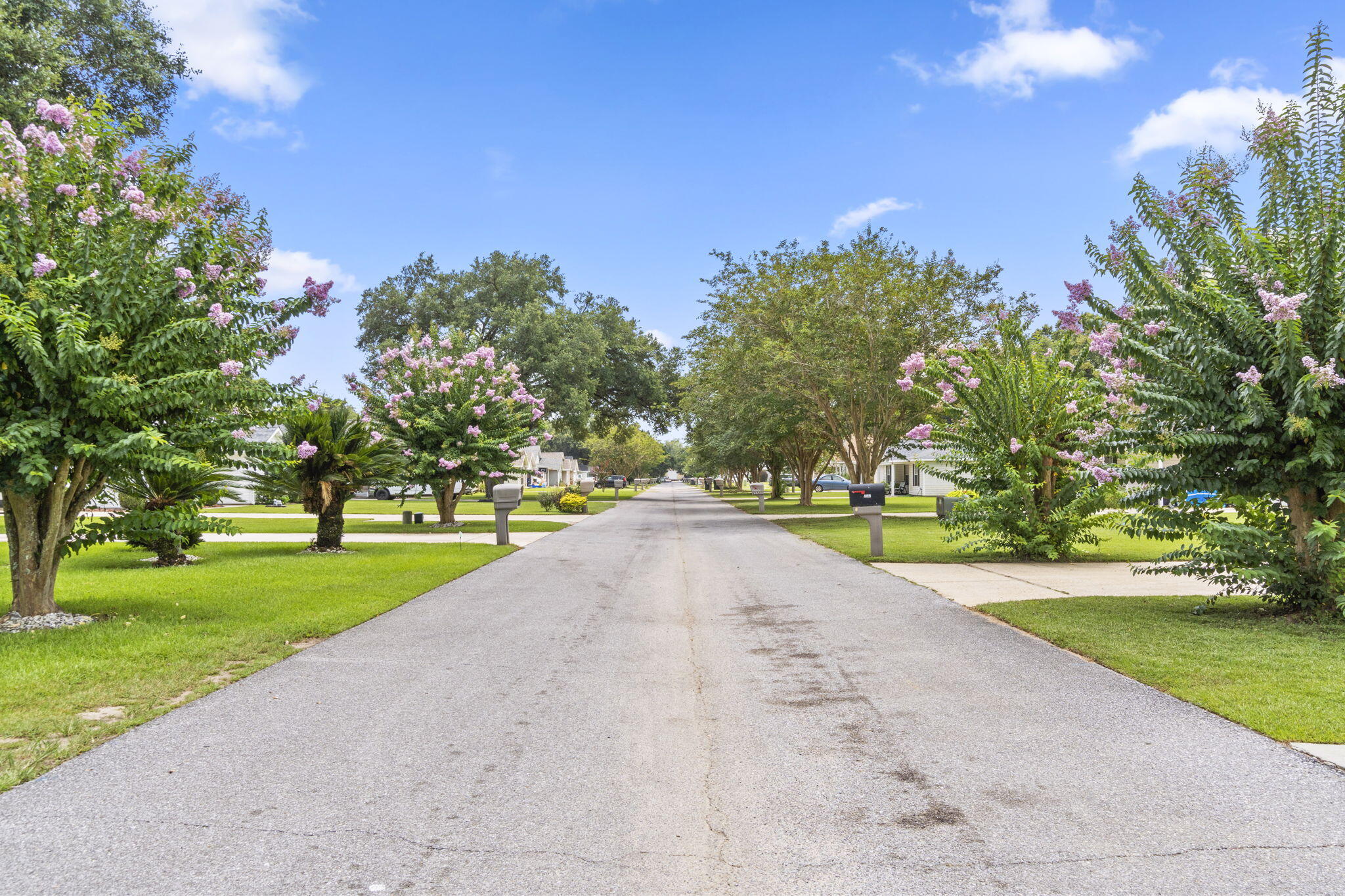 Tree Top Terrace - Residential