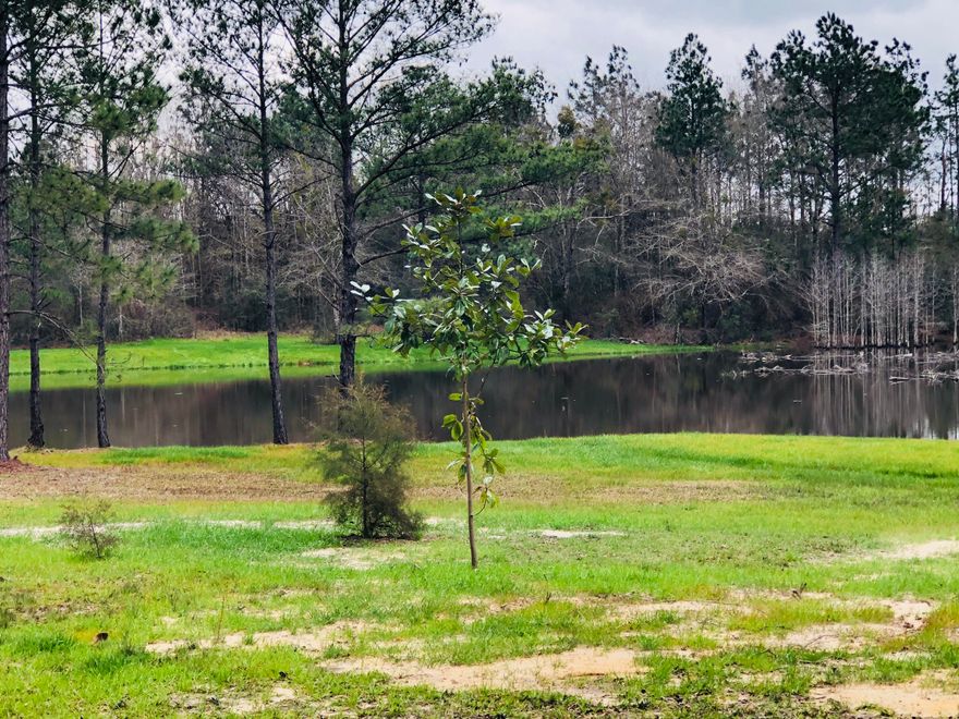 Country living with private pond. Property has everything a sportsman would desire. Home is a single wide manufactured home with new HVAC that sits beautifully on 13 acres overlooking private pond. This well kept home will make a perfect property for first time homebuyer or someone looking to build their forever home. Property has plenty of room to start building while still enjoying all this property has to offer. Sellers have already done the hard work for you. Underbrush was cleared down to the water and pond has recently been updated with new dam, new drainage pipe and most trees removed leaving you with a gorgeous view from your back porch. Whether you like to fish or just sit back and enjoy the beautiful surroundings, this is a property you don't want to miss.