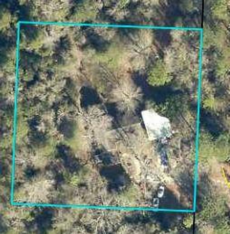 House sits on 1 acre will parcel out to 20 acres with purchase. This house has a gas stove, 3 bedrooms and sits on a peaceful 20 acres in the heart of Black Water Forest. More acreage is available upon request.