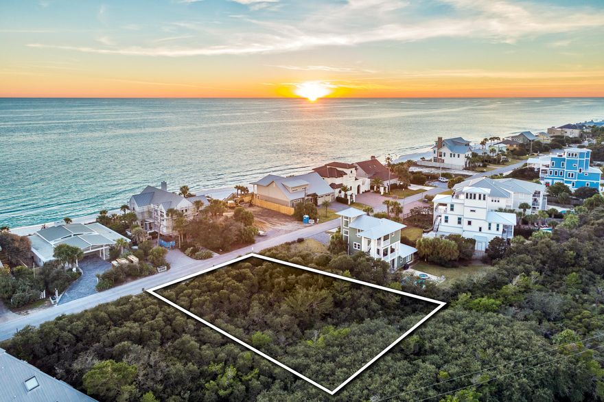Now is the time to secure one of the few remaining 2nd tier lots in Blue Mountain Beach! Build the home of your dreams on this legacy lot just one tier off the beach! Capture stunning gulf views from every level! Positioned on a nearly quarter-acre lot this future home site has it all! Enjoy one of the four neighborhood beach access points just across the street! Find out why everyone loves living in Blue Mountain Beach!