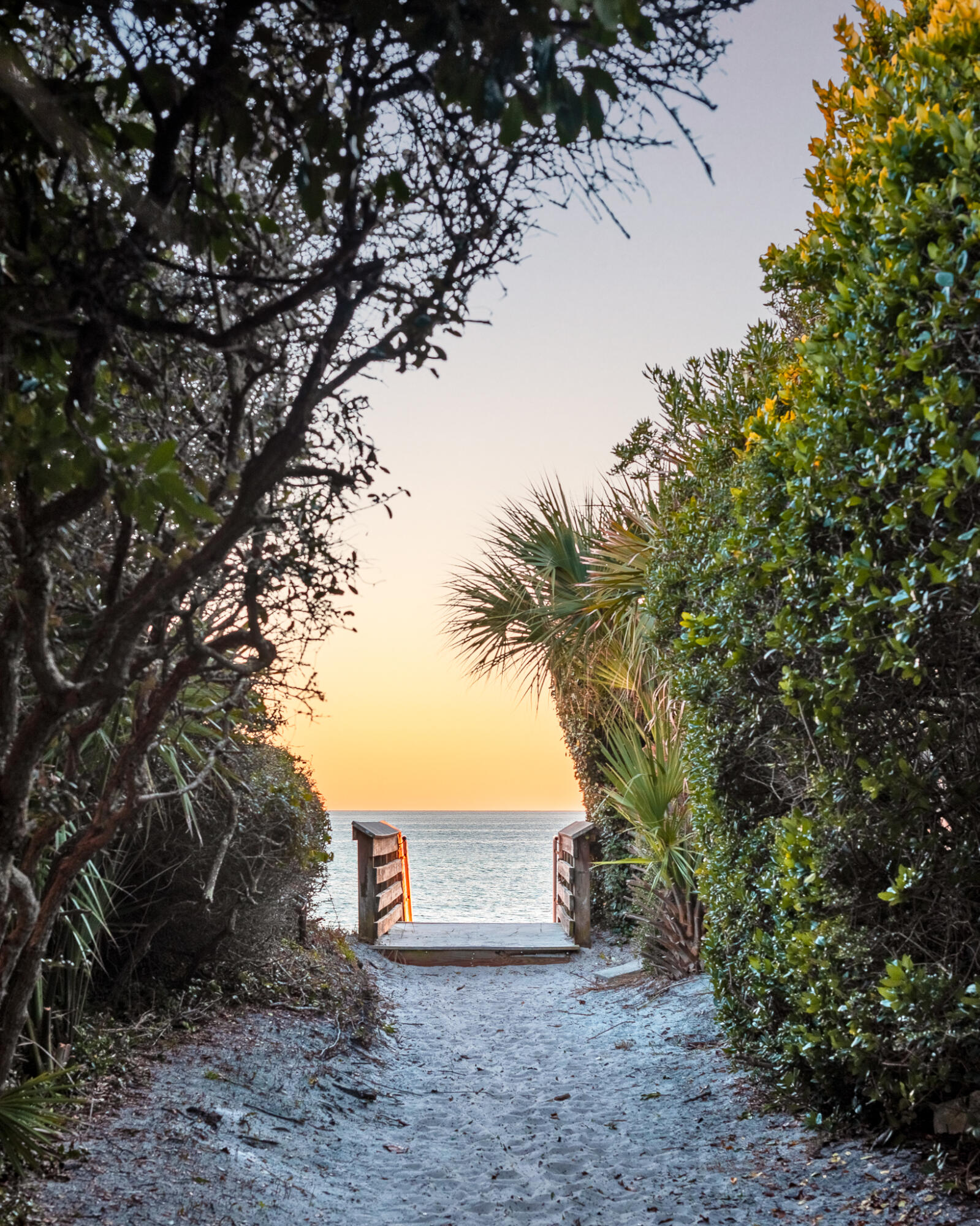 LOT 5 BLK 5 BLUE MOUNTAIN BEACH S/D #1 PB 2-41 OR 870-271 OR 3177-1619 OR 3199-3932 - Land