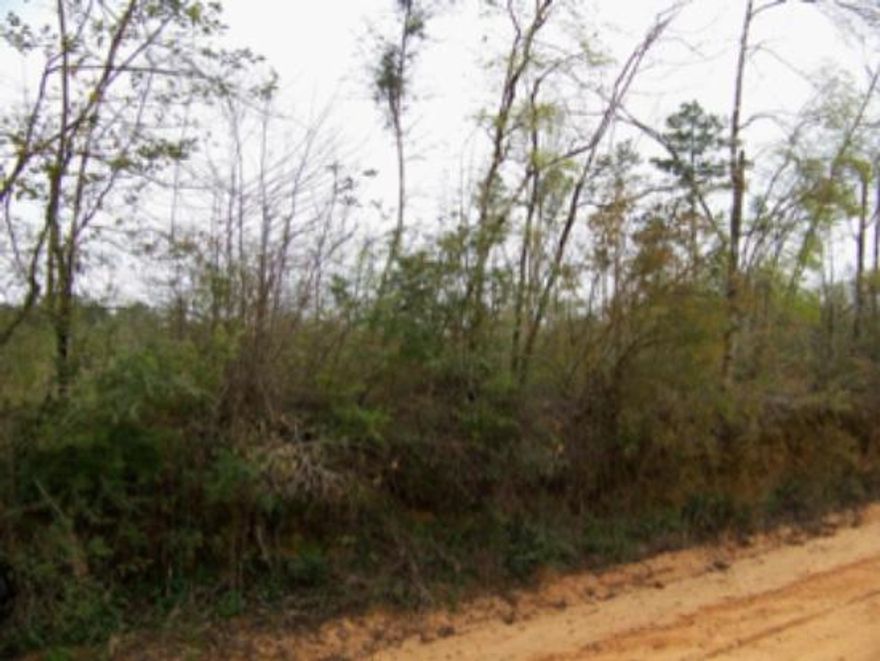 THIS IS GREAT HUNTING LAND!
APPRAISED FOR $35,000 ON 04/03/2014
PART OF CREEK ON PROPERTY.
RED DIRT RD
CALL OR EMAIL VICTORIA AT
VICTORIA@HARGRODERGROUP.COM