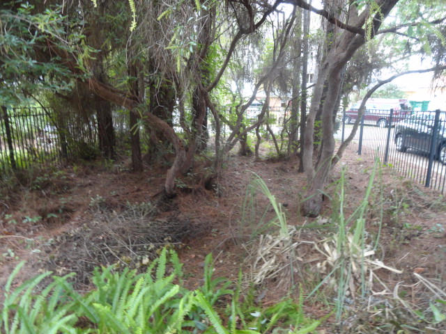 FLAMINGO BCH S/D - Residential