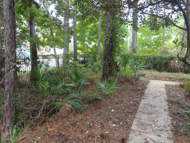 FLAMINGO BCH S/D - Residential