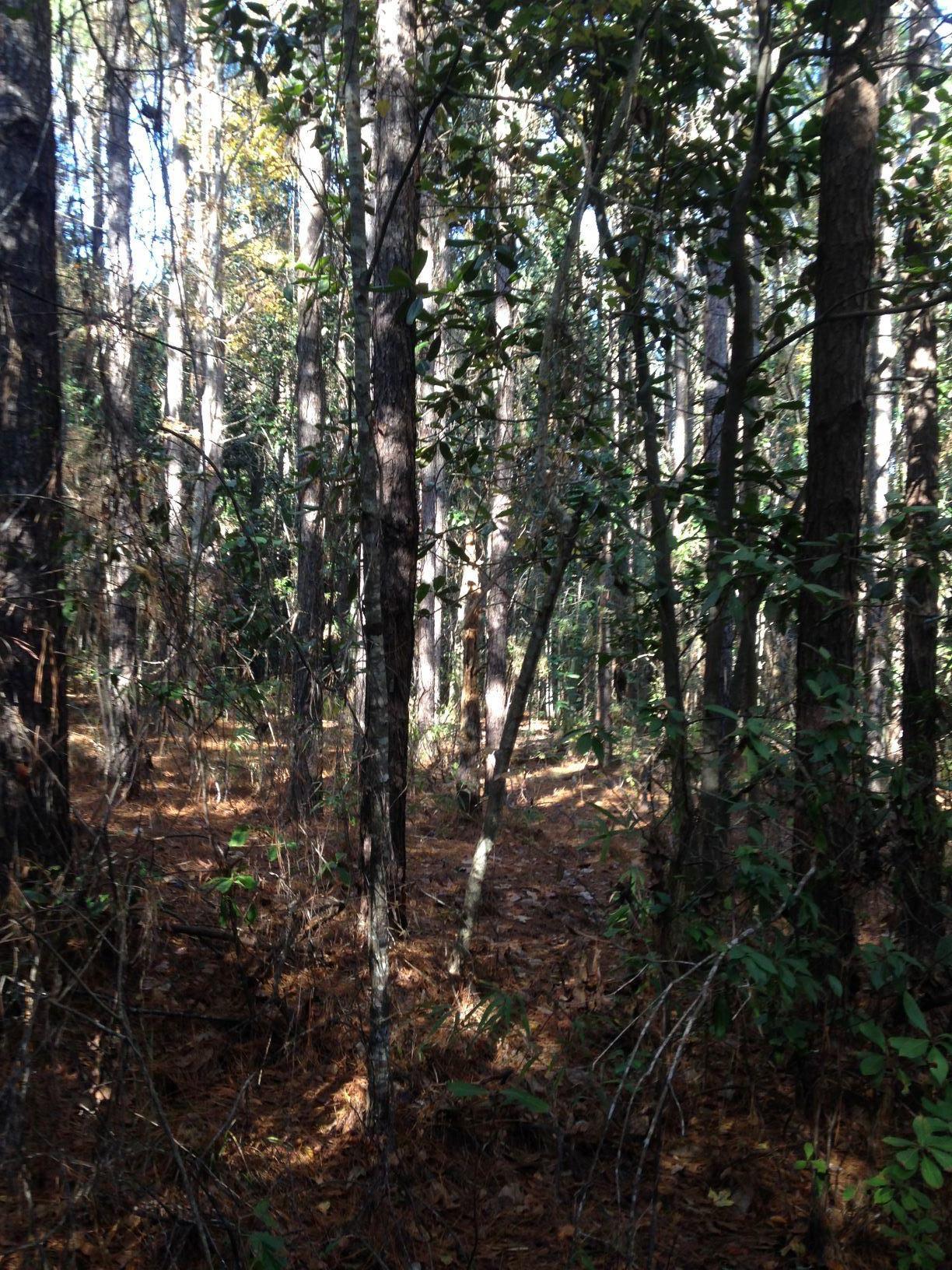 METES & BOUNDS - Farm