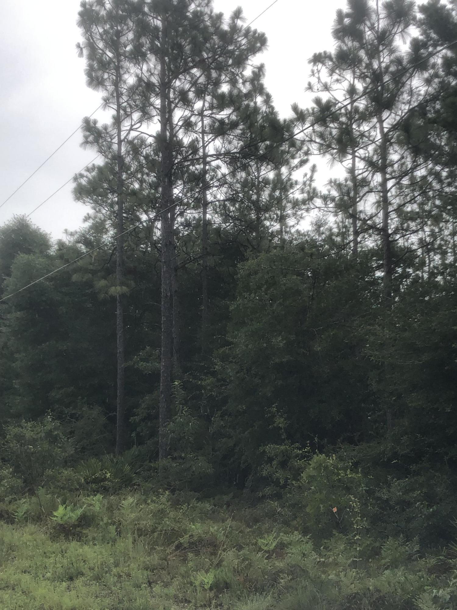 OAKWOOD HILLS UNIT 1 - Land