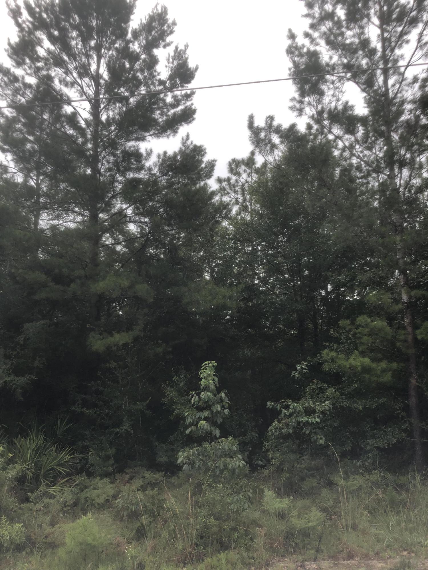 OAKWOOD HILLS UNIT 1 - Land