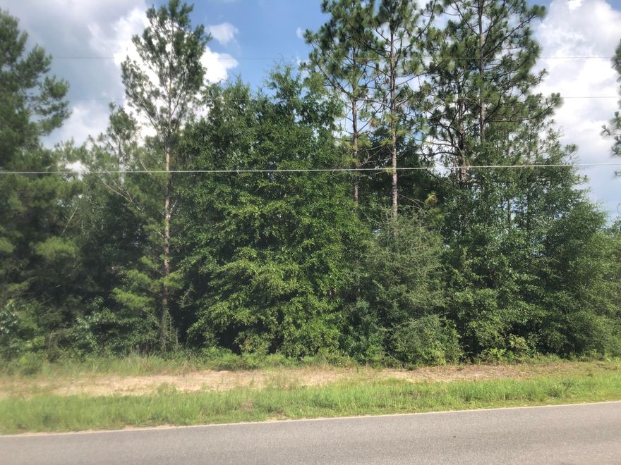 This is a gorgeous wooded property located on Trout Dr. with paved road frontage. From the road, the property slopes gently downhill making it a beautiful spot for home site overlooking the small creek that runs along the back of the property. A great place to enjoy the quietness and beauty of nature and wildlife. Water & power available.Owner financing available with minimal down payment.This property is made up of (2) lots of approx. 75' x 200' each. (Each is individually platted)Being sold as platted shown by Walton county property appraiser's website. Buyer is responsible for verifying property lines and obtaining a survey to verify platted lots dimensions, etc.