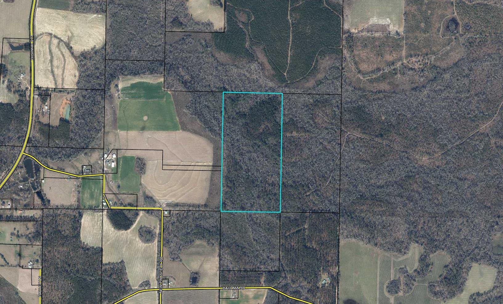 No access. Priced accordingly. Wooded. Great for recreation or hunting.