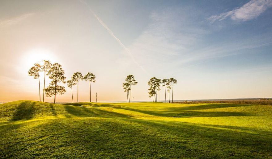 Located in the gated community of Sandestin Resort and Beach Resort. Extremely desirable lot in heart of the resort with a view of the 14th hole overlooking a serene lake on the prestigious and multi-award winning Raven Golf Course. This 0.413453 acre lot (on golf course) has all the amenities Sandestin lifestyle. Baytown Wharf is just a golf cart ride away from an assortment of lively restaurants and weekly music events which are accompanied by breath taking firework extravaganzas. Exclusive tennis courts, a beautiful marina located on Choctawhatchee Bay, 72 holes of golf spanning from beach to the bay, health and fitness club, resort trams for transportation, multiple fishing lakes. Bike rental,Boat rental. The beach is accessible by an underground tunnel