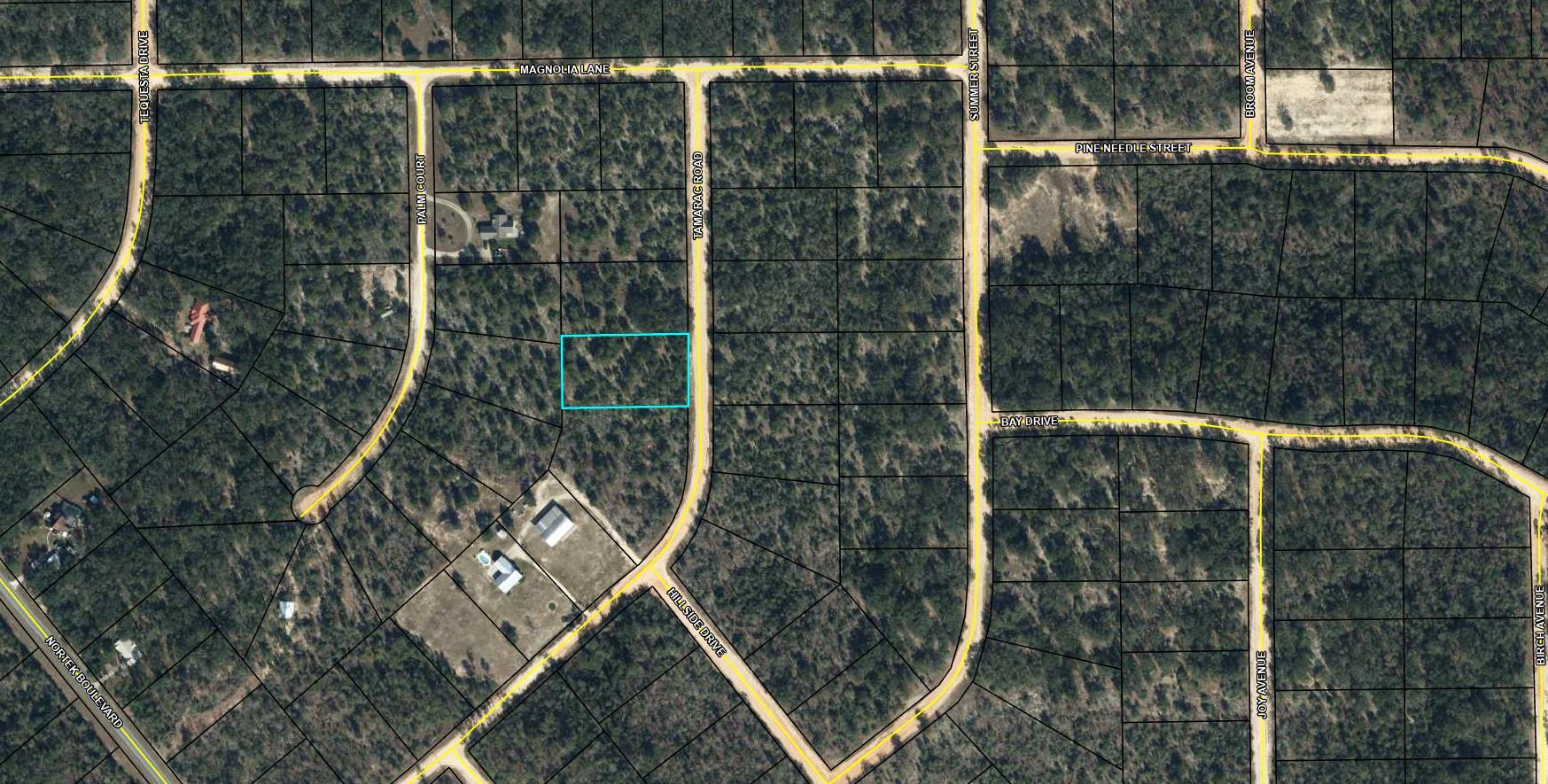 Large 1.133 acre lot in Compass Lake in the Hills. There is a voluntary HOA of $135 a year, but what a great price for all the amenities that are included such as: access to 2 lakes for fishing, tennis, horse stables / riding, rental cabins, RV spots, boat rentals, clubhouse, and a golf range. Being an all-sports lake, enjoy water skiing, tubing, jet skiing, boating, sailing, kayaking & swimming. No need to worry about lunch while out on the water when you have a boat accessible shoreline restaurant. This location is great for someone who enjoys nature and a short drive to the beach since it is located half way between Panama City And Dothan. The area is rich in historical significance, with many restored antebellum plantation homes open for tours or as bed-and-breakfast