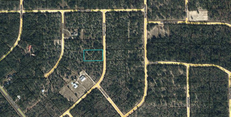 Large 1.133 acre lot in Compass Lake in the Hills. There is a voluntary HOA of $135 a year, but what a great price for all the amenities that are included such as: access to 2 lakes for fishing, tennis, horse stables / riding, rental cabins, RV spots, boat rentals, clubhouse, and a golf range. Being an all-sports lake, enjoy water skiing, tubing, jet skiing, boating, sailing, kayaking & swimming. No need to worry about lunch while out on the water when you have a boat accessible shoreline restaurant. This location is great for someone who enjoys nature and a short drive to the beach since it is located half way between Panama City And Dothan. The area is rich in historical significance, with many restored antebellum plantation homes open for tours or as bed-and-breakfast
