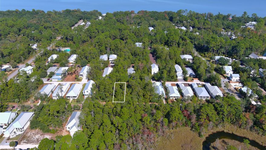 Grayton Bayou is located only 5 minutes north of Grayton Beach by the Pt. Washington State Forest. These streets are lined with Palm Trees & Oak's. This homesite has the Private Drive / Alleyway access on back. This homesite is one of the ''full size'' homesites and has room for a main house and a carriage house. You'll love the private location, it's right across from the private and valuable Grayton Bayou S/D Bayou Front Community Property. Only 8 lots in have this private location and view. Grayton Bayou min. house size at least 1600 sq. ft. with a florida cottage design. Neighborhood has large swimming pool with waterfall, boat launch at end of Riker Ave., bay front park on E. Mitchell. Property is beautiful and wooded, new homes being built all around. Sold 'AS IS''