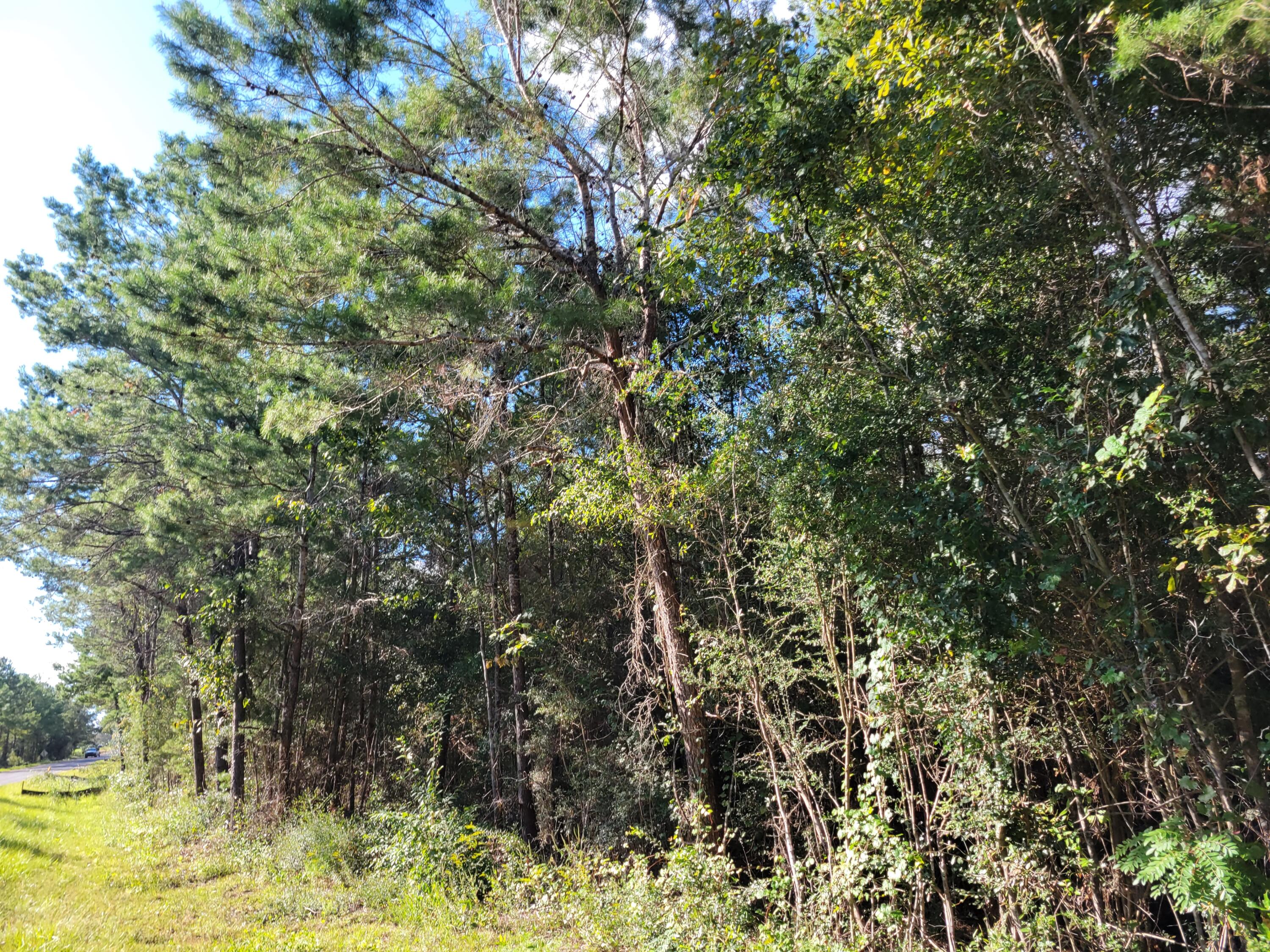 METES & BOUNDS - Land