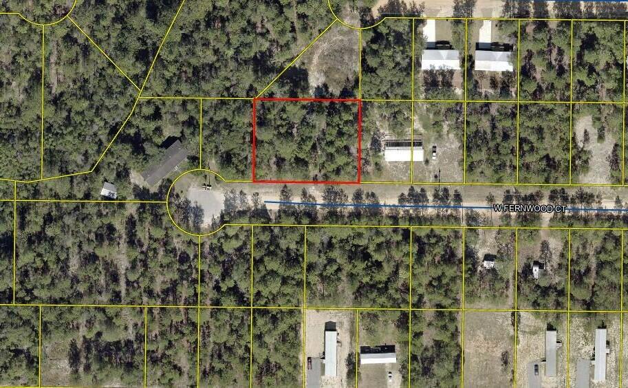 Two contiguoius buildable level lots lightly wooded in Mossy Head with city water and electric available. Mobile Homes allowed.  Tons of potential. Less than an hour to the beach.