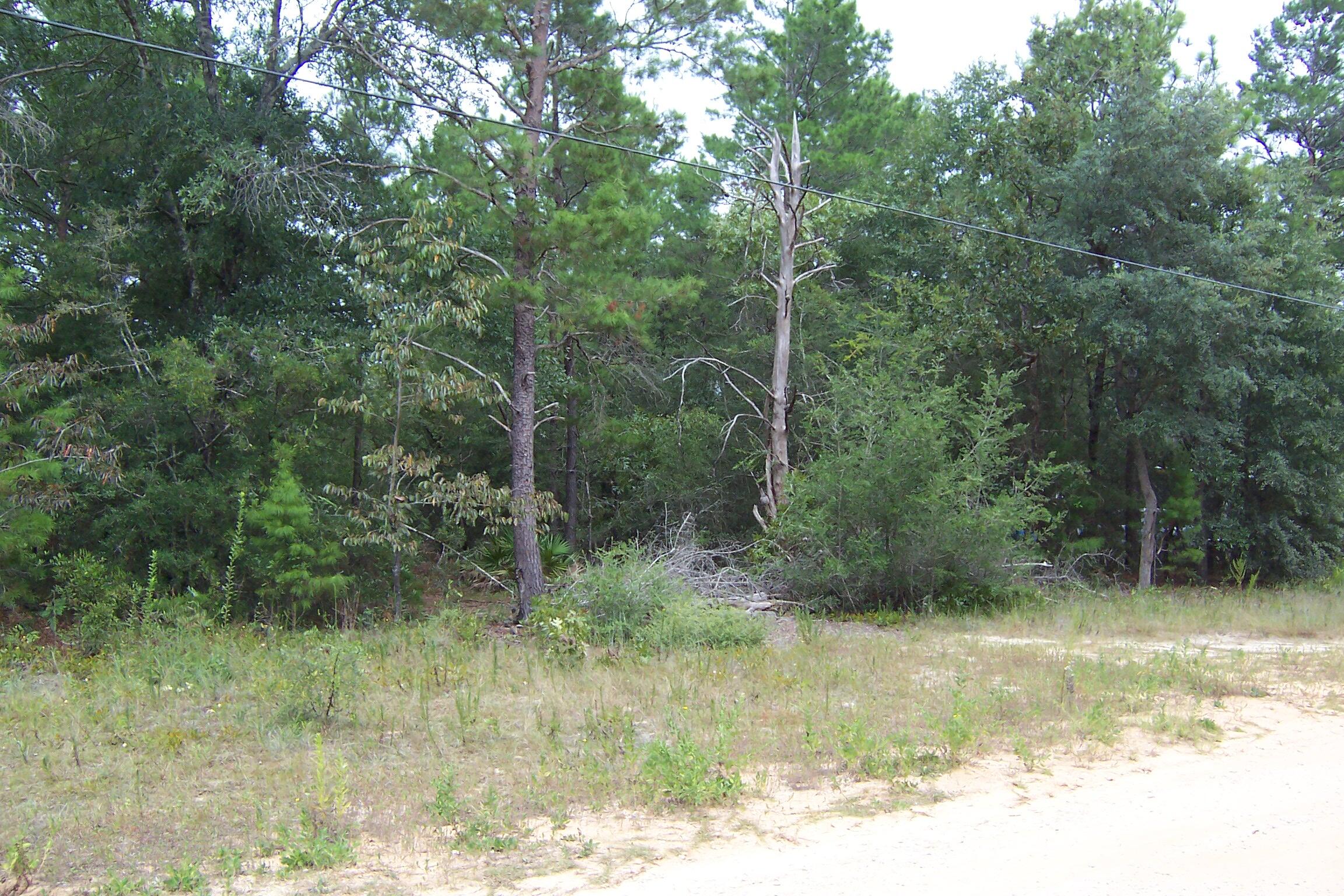 OAKWOOD HILLS UNIT 3 - Land