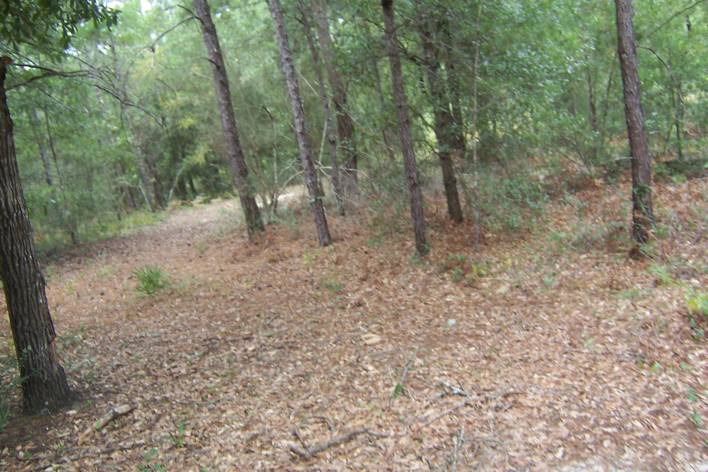 OAKWOOD HILLS UNIT 3 - Land