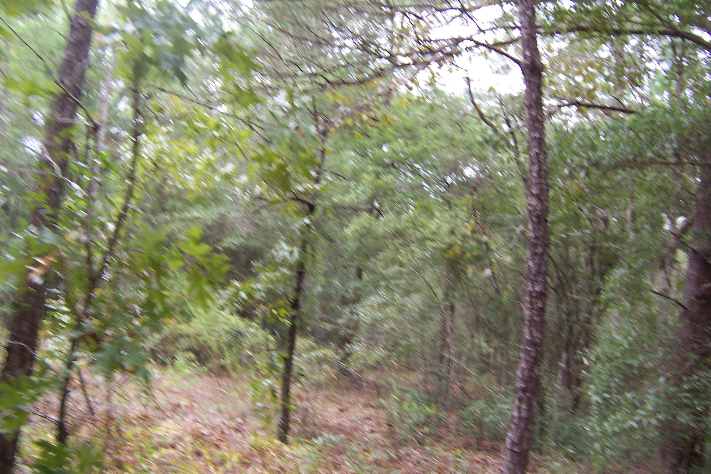 OAKWOOD HILLS UNIT 3 - Land