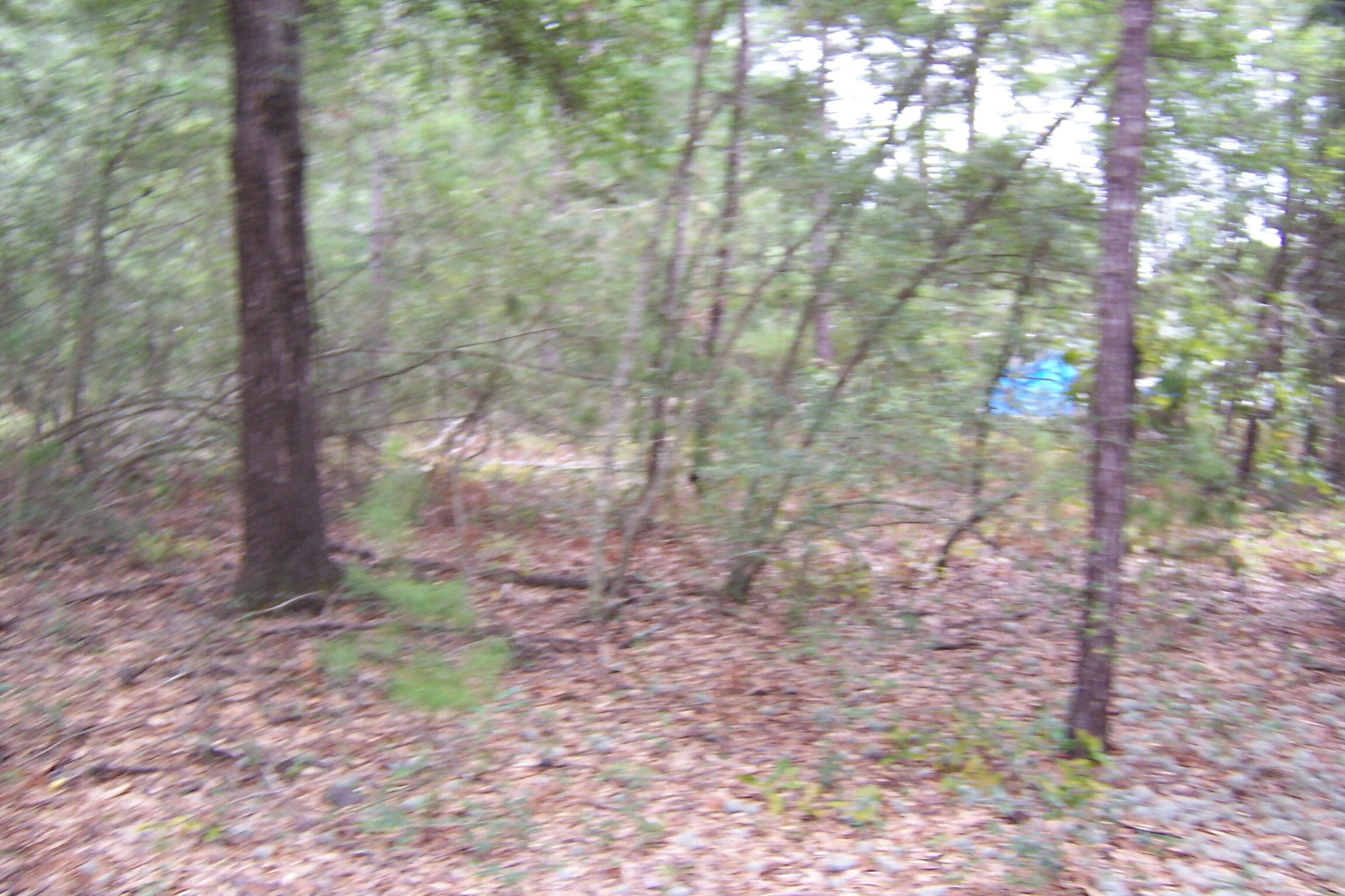 OAKWOOD HILLS UNIT 3 - Land