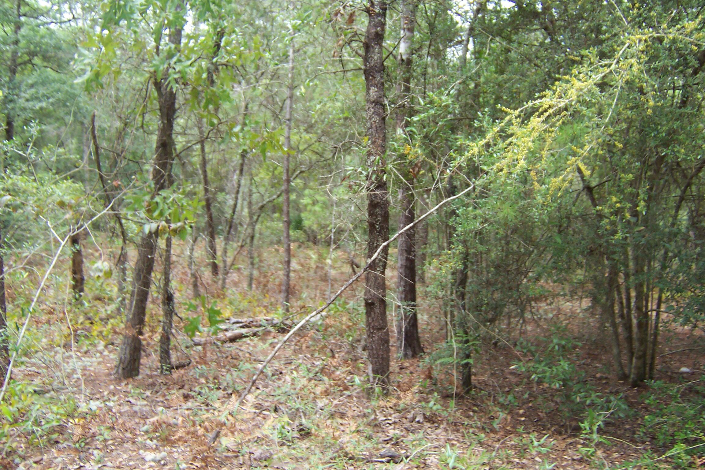 OAKWOOD HILLS UNIT 3 - Land