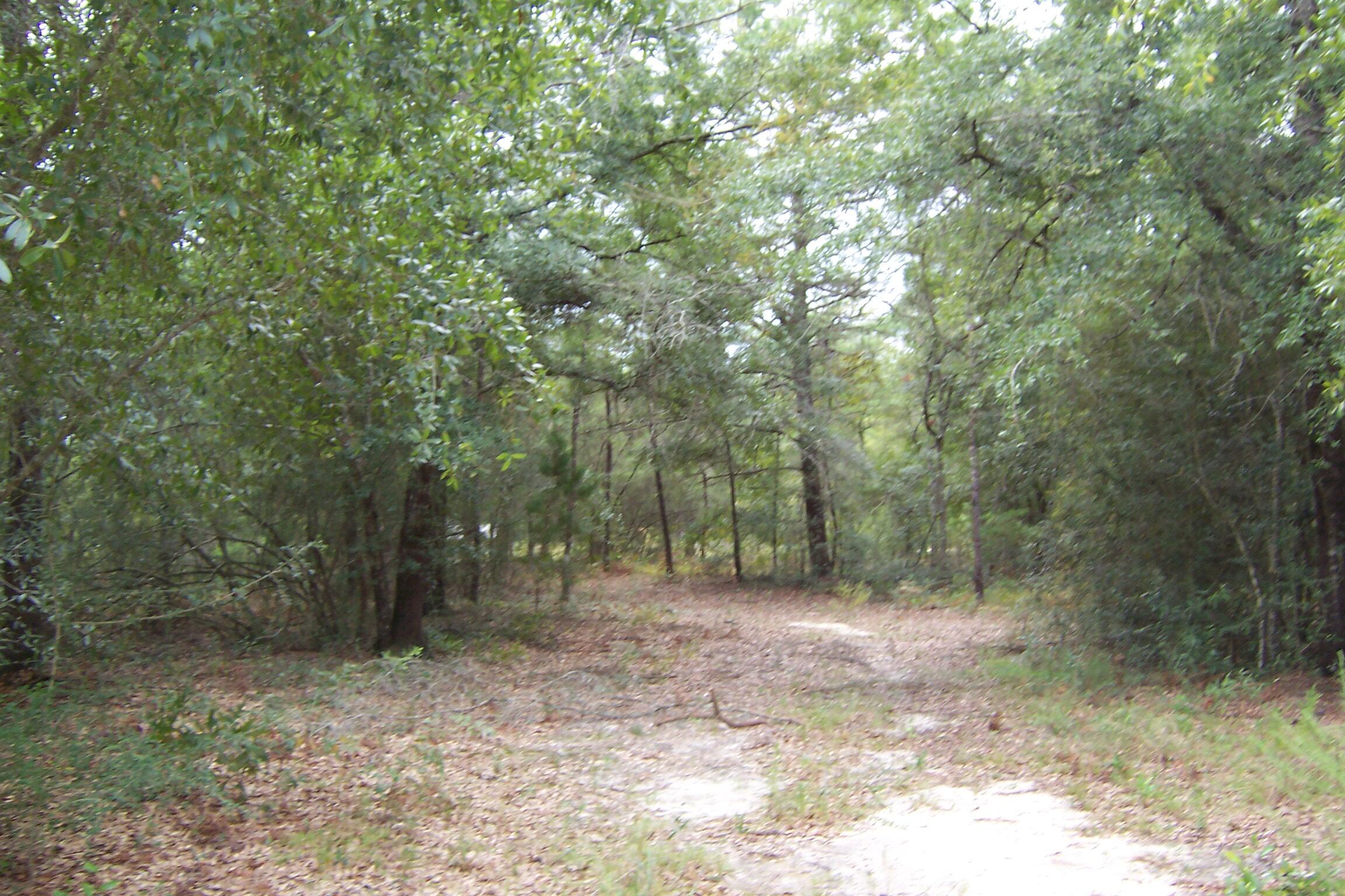 OAKWOOD HILLS UNIT 3 - Land