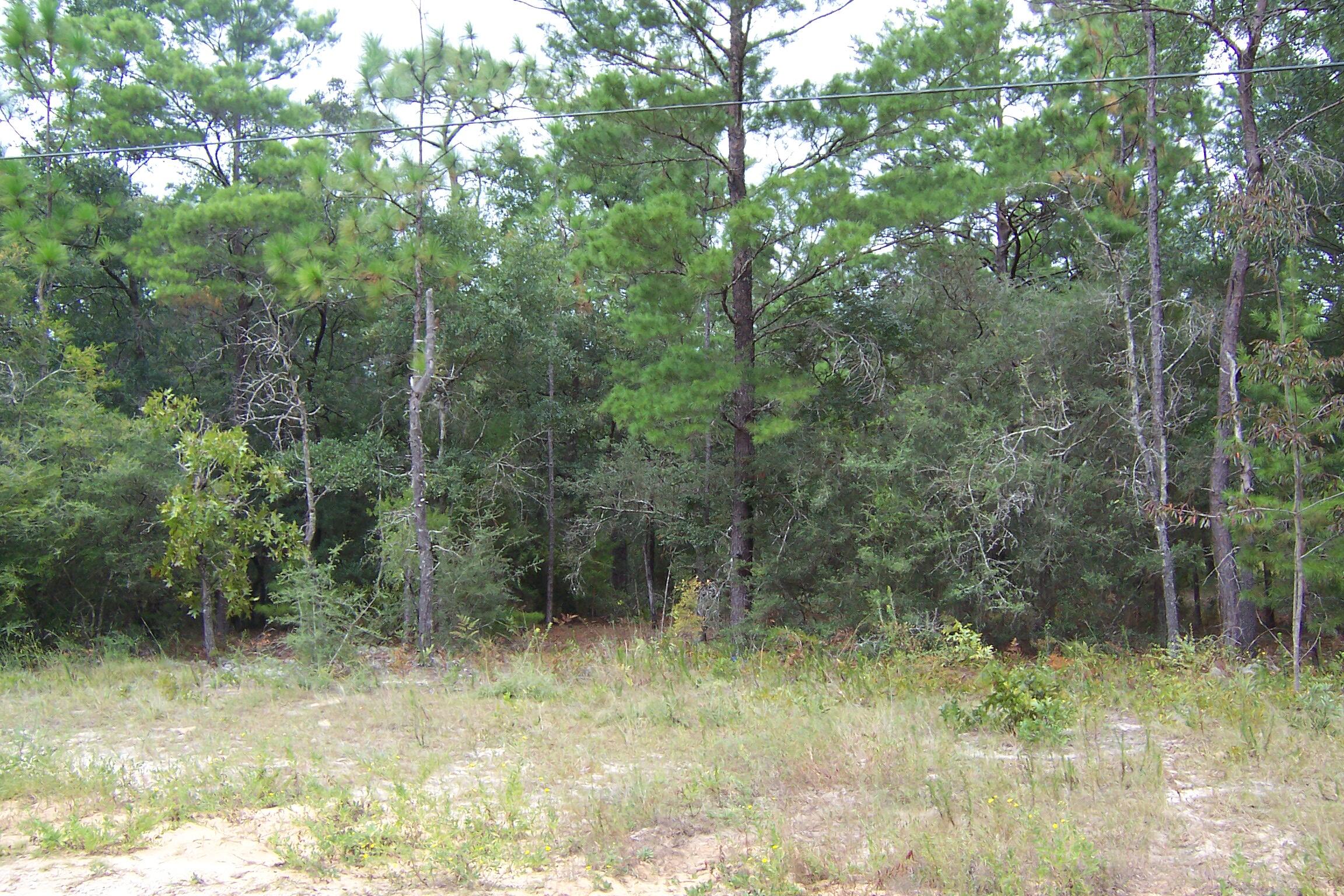 OAKWOOD HILLS UNIT 3 - Land