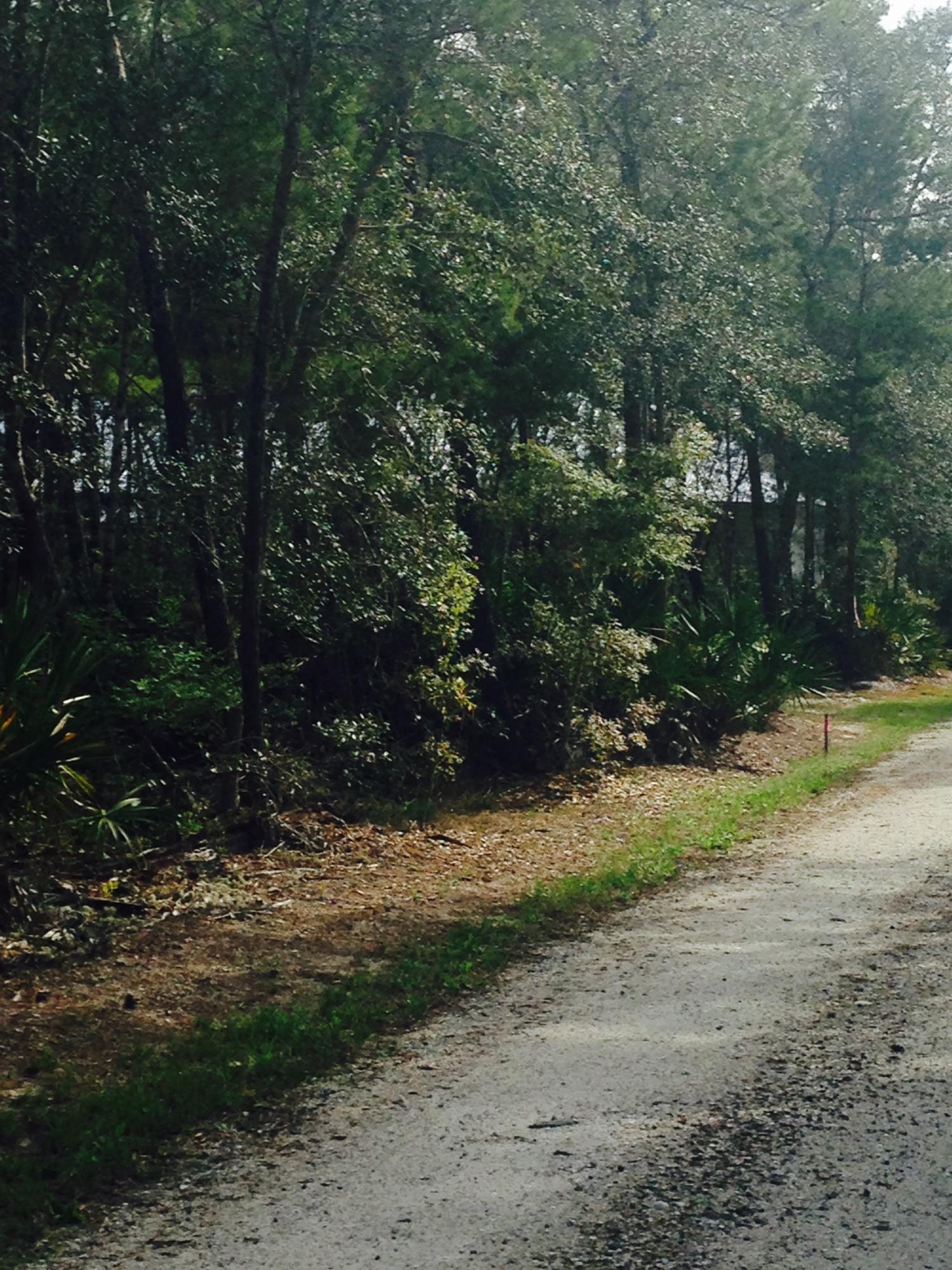 GRAYTON BAYOU - Land