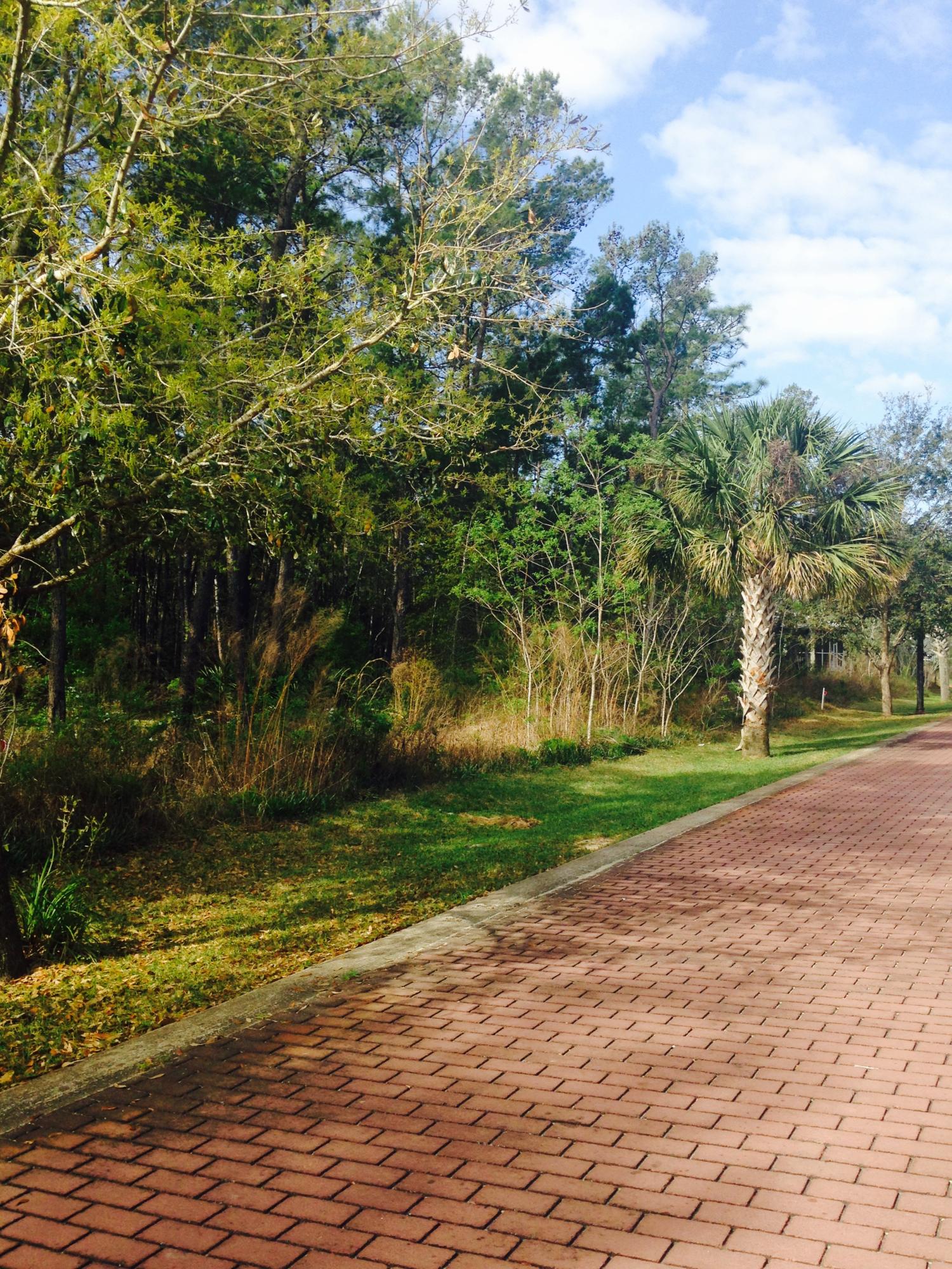 GRAYTON BAYOU - Land