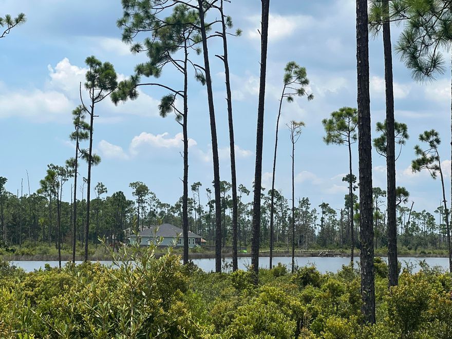 Unbelievable views in this Nature Lover's Paradise!   This secluded waterfront lot has bayou access and is located directly on Laird Bayou in the prestigious gated community of Laird Bayou. Only minutes away from the Gulf of Mexico by boat!  Residents are rewarded with an irresistible combination of natural beauty and convenience to the beaches, restaurants and attractions. Approximately a 15-minute drive to Tyndall AFB.  Laird Bayou Residents have amenities such as a beautiful community pool, gated boat & RV storage and a private boat launch & dock! Perfect for boaters, anglers and all who delight in nature's coastal beauty. Buyer to verify all lot dimensions and due diligence on water depth and dock permitting.