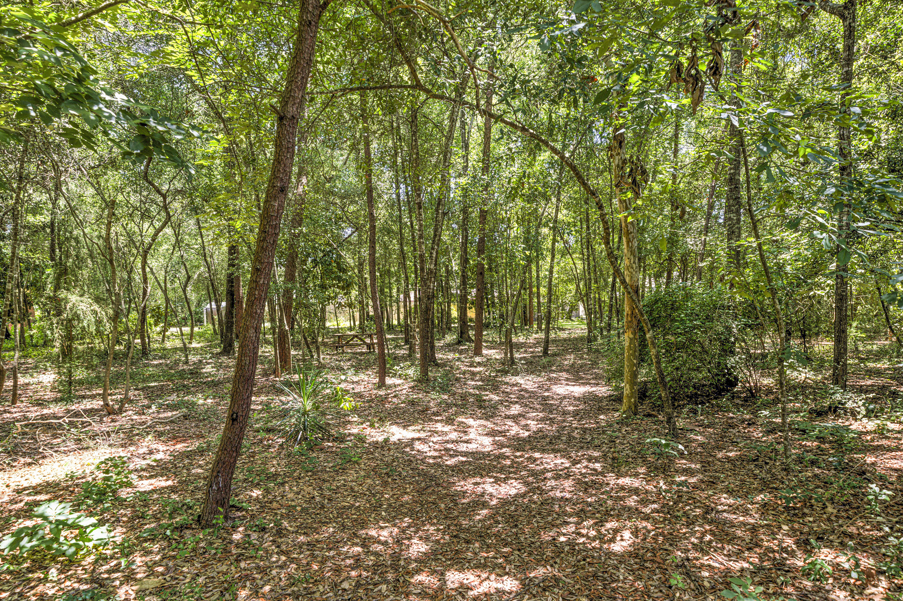 RAINTREE ESTATES - Residential