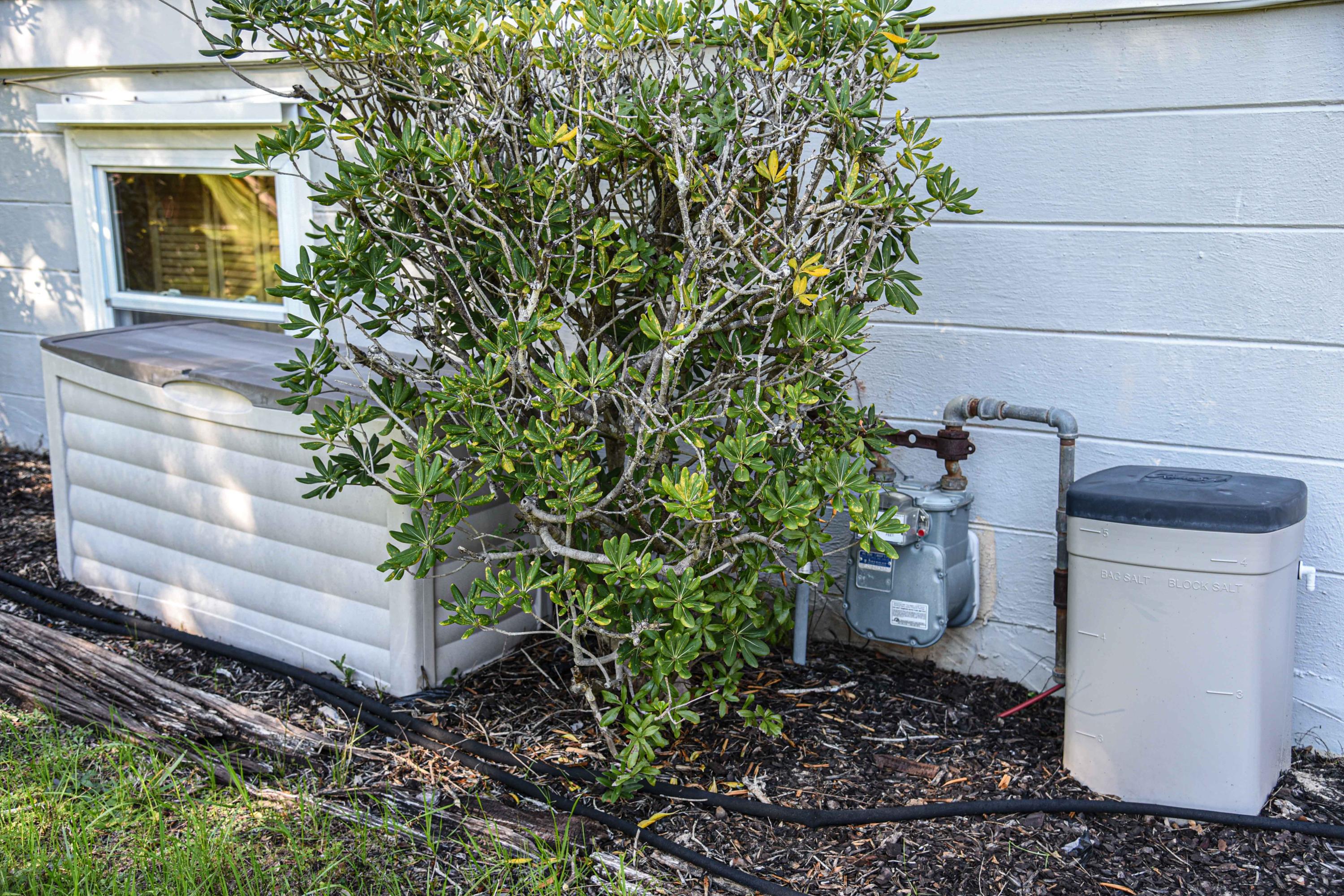 BAYOU WOODS - Residential