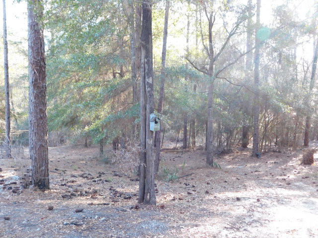 METES AND BOUNDS - Residential