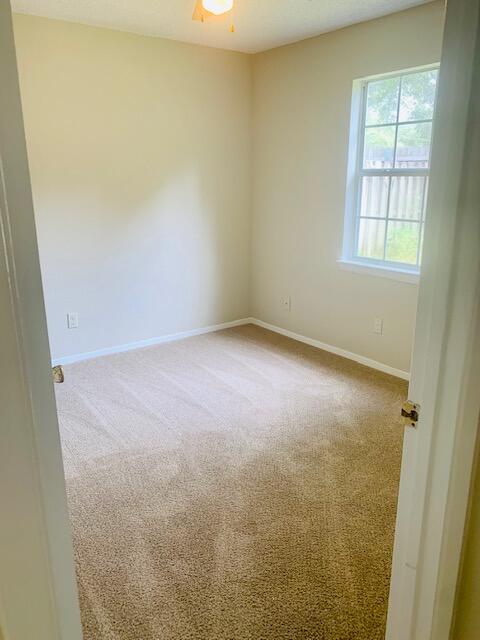 BLUE PINE VILLAGE - Residential