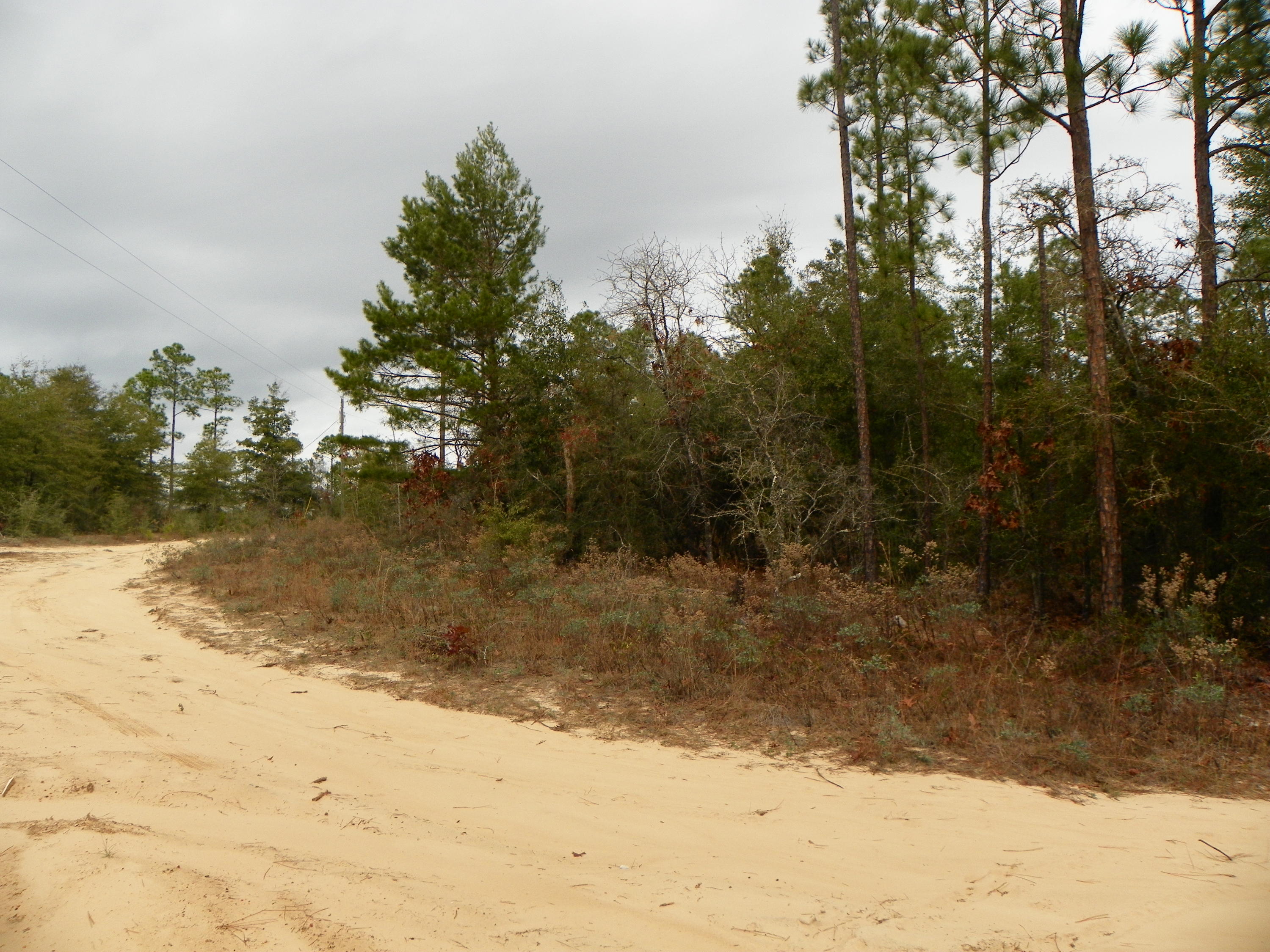 TRIPLE LAKES ESTATES - Land