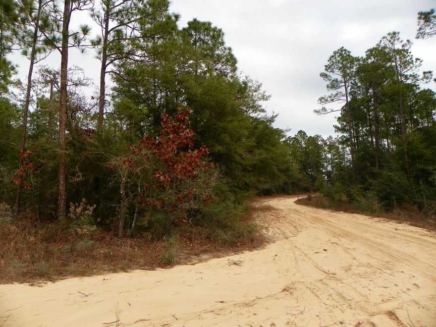 Corner lot off of Hwy 90, close to Crestview, and Niceville! .36 acres. Perfect location to build your new home, lots of privacy! Call for more information!