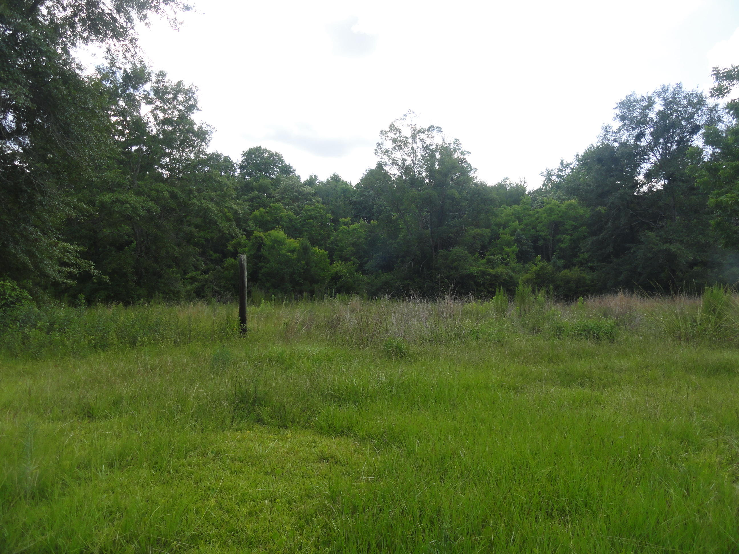 Metes and bounds - Residential