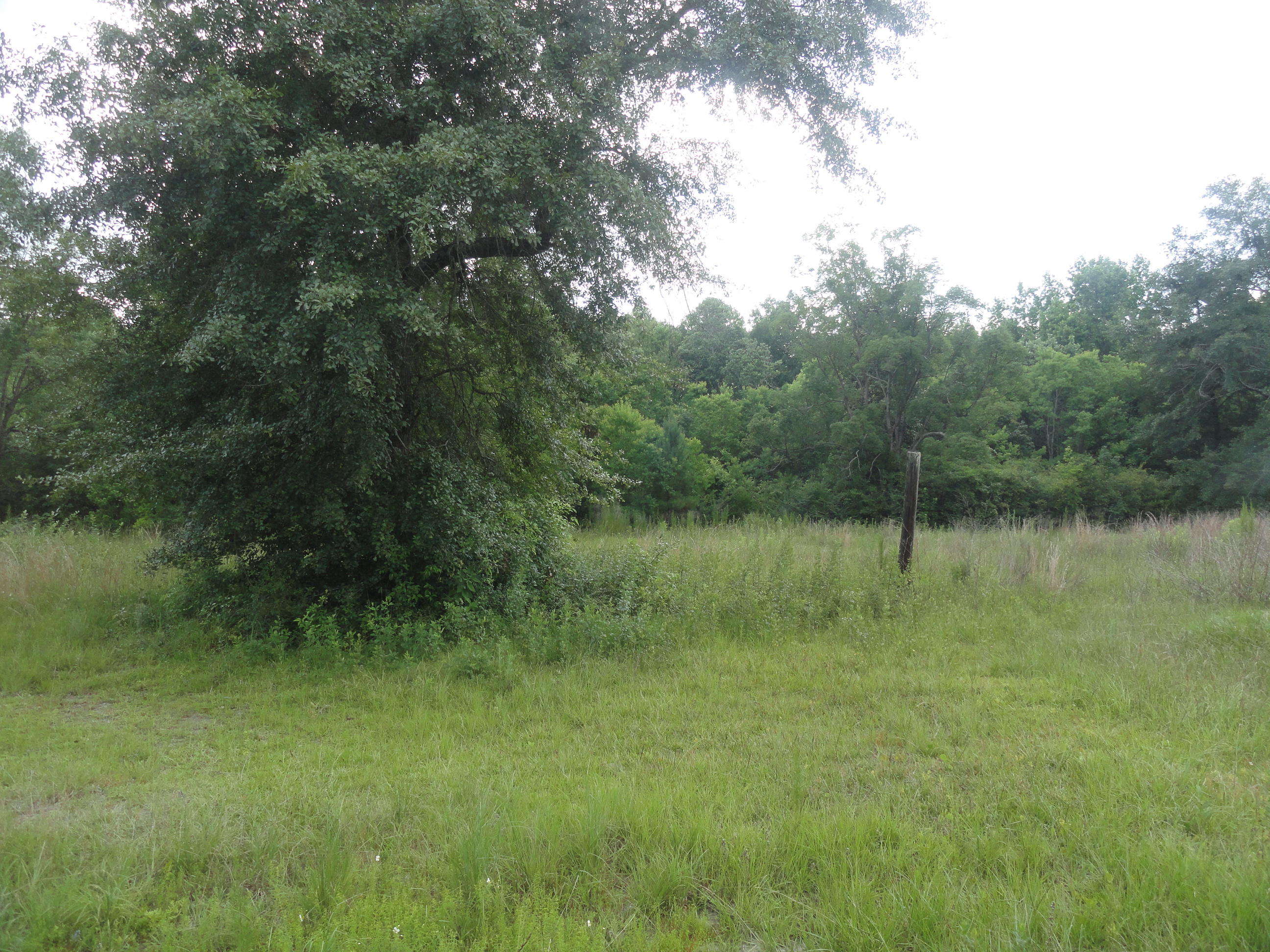 Metes and bounds - Residential