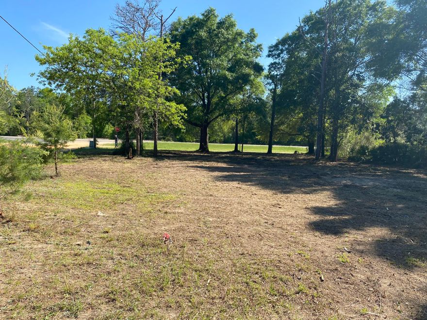 Nice lot on the corner of Hwy. 90 West and Cottonwood Blvd., will need septic tank and city water available.